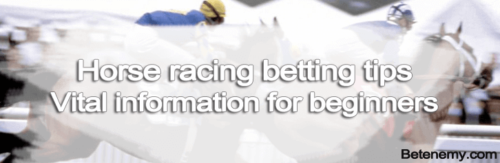 horse racings betting tips
