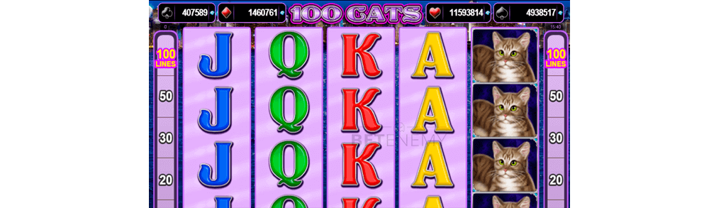 изглед от казино играта 100 Cats