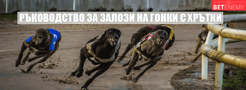 ръководство за гонки с кучета