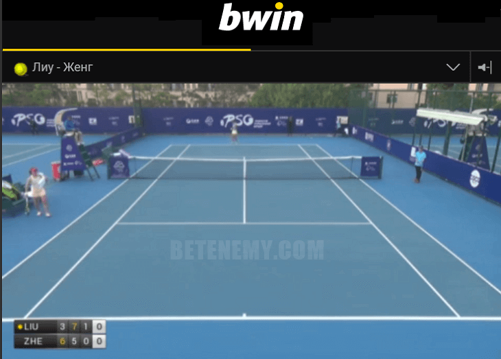 Тенис среща пряко в сайта на Bwin